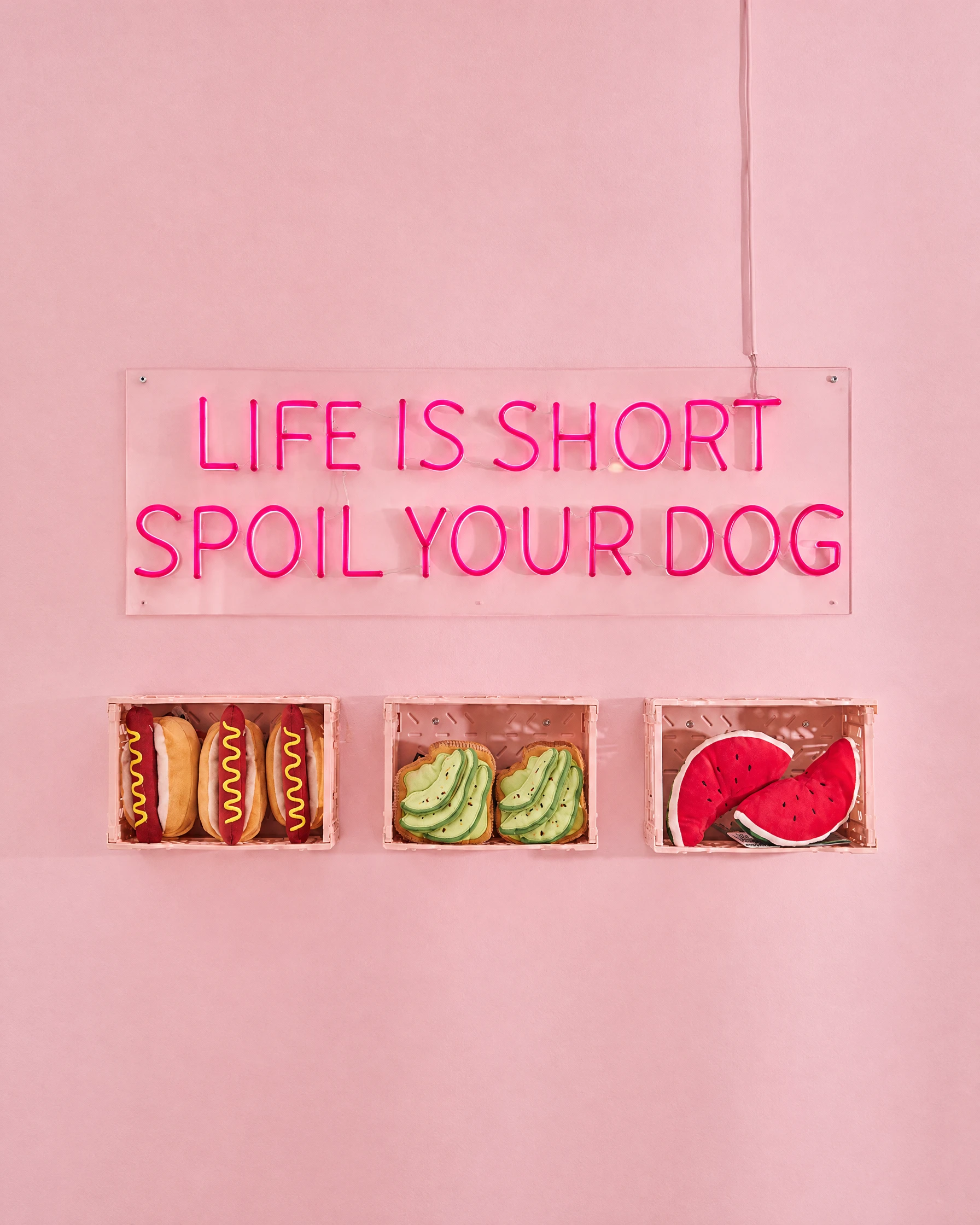 Rosa neonskylt i butiken: Life is short, spoil your dog